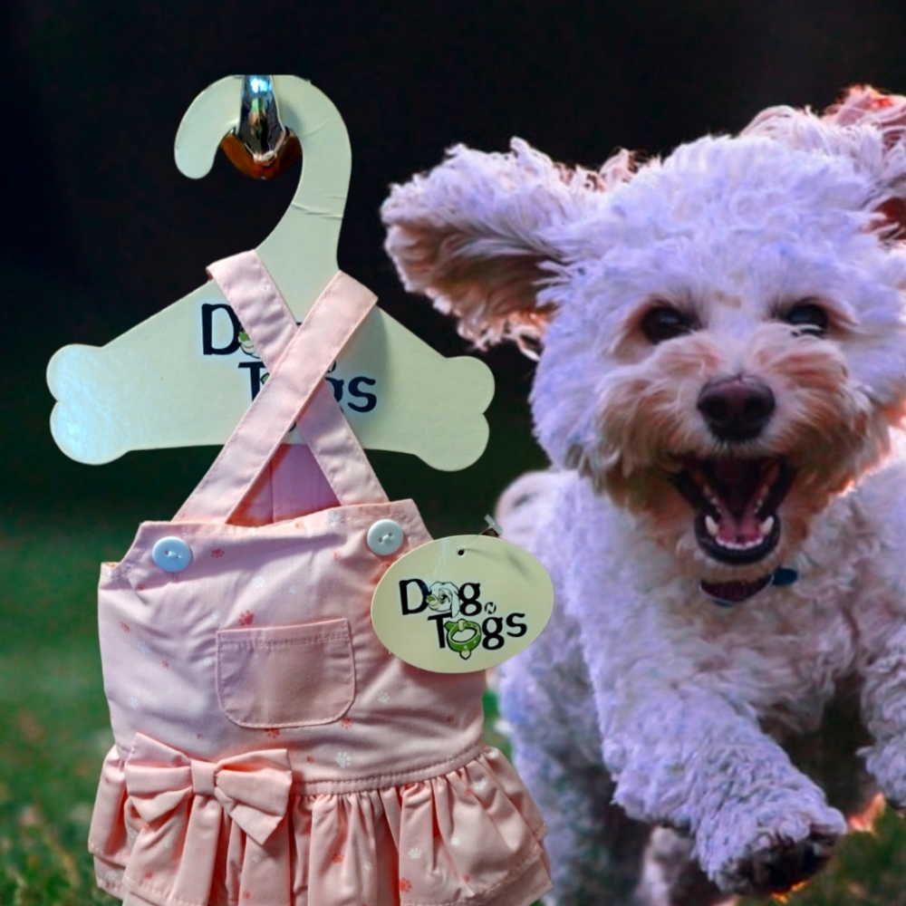 Dog Tags Dog Dresses